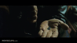 Matrix red pill